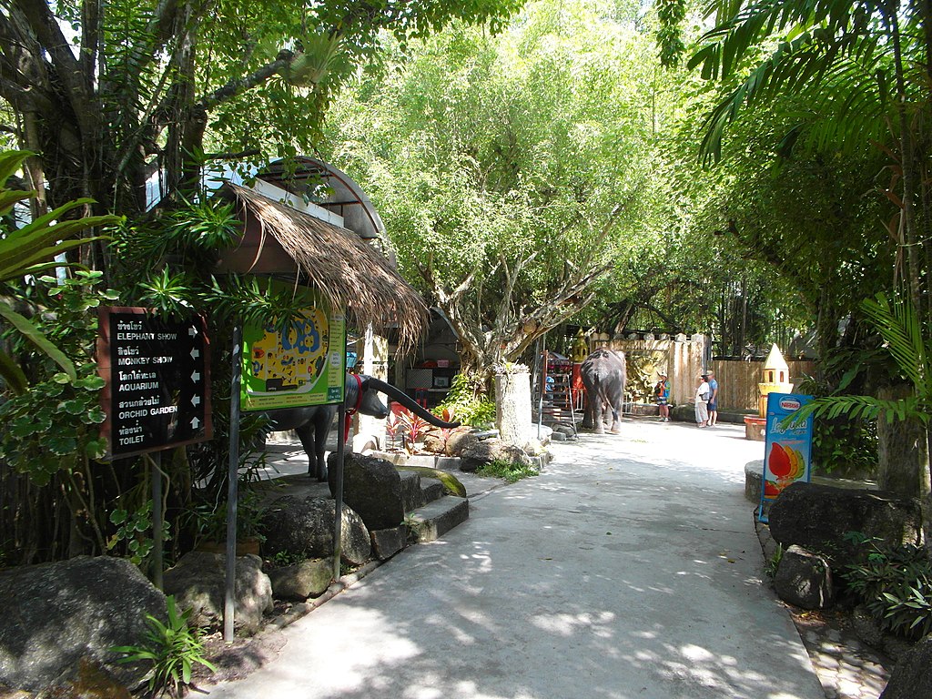 Зоопарк, Пхукет, Таиланд