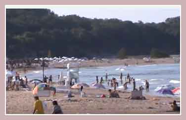 Пляжи Созополя