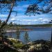 Отдых на Ладожском озере, Карелия: как добраться, в каком районе жить, что посмотреть